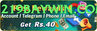 Dealer Foxy Pakistan